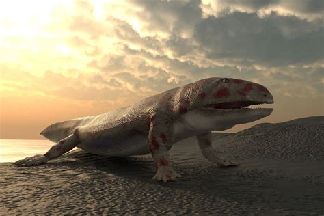 25 Facts About Devonian.